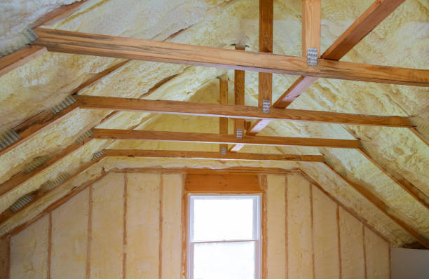 Best Cellulose Insulation  in Abbeville, SC