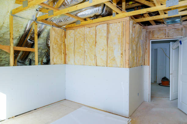 Best Professional Insulation Contractor  in Abbeville, SC