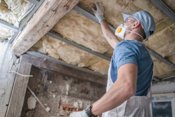 Best Commercial Insulation Contractor  in Abbeville, SC