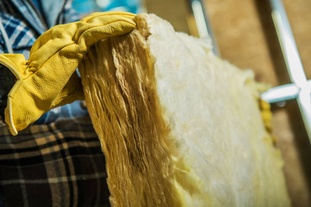 Best Fiberglass Insulation  in Abbeville, SC