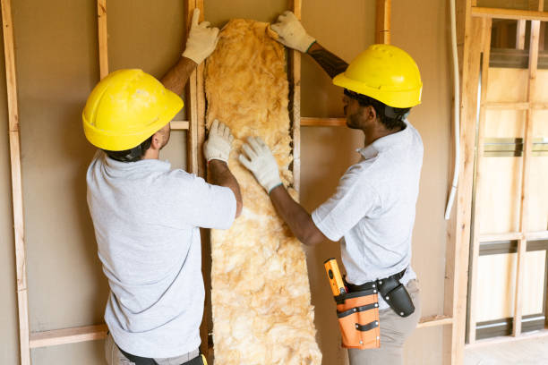 Best Garage Insulation Installation  in Abbeville, SC