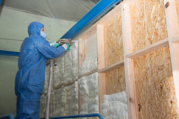 Best Best Insulation Companies  in Abbeville, SC