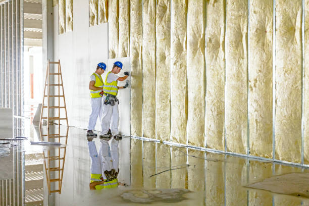 Best Wall Insulation Contractor  in Abbeville, SC